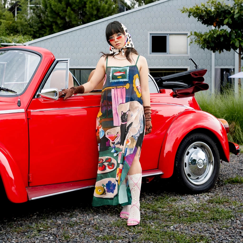 Velvet Feast See Through Dress